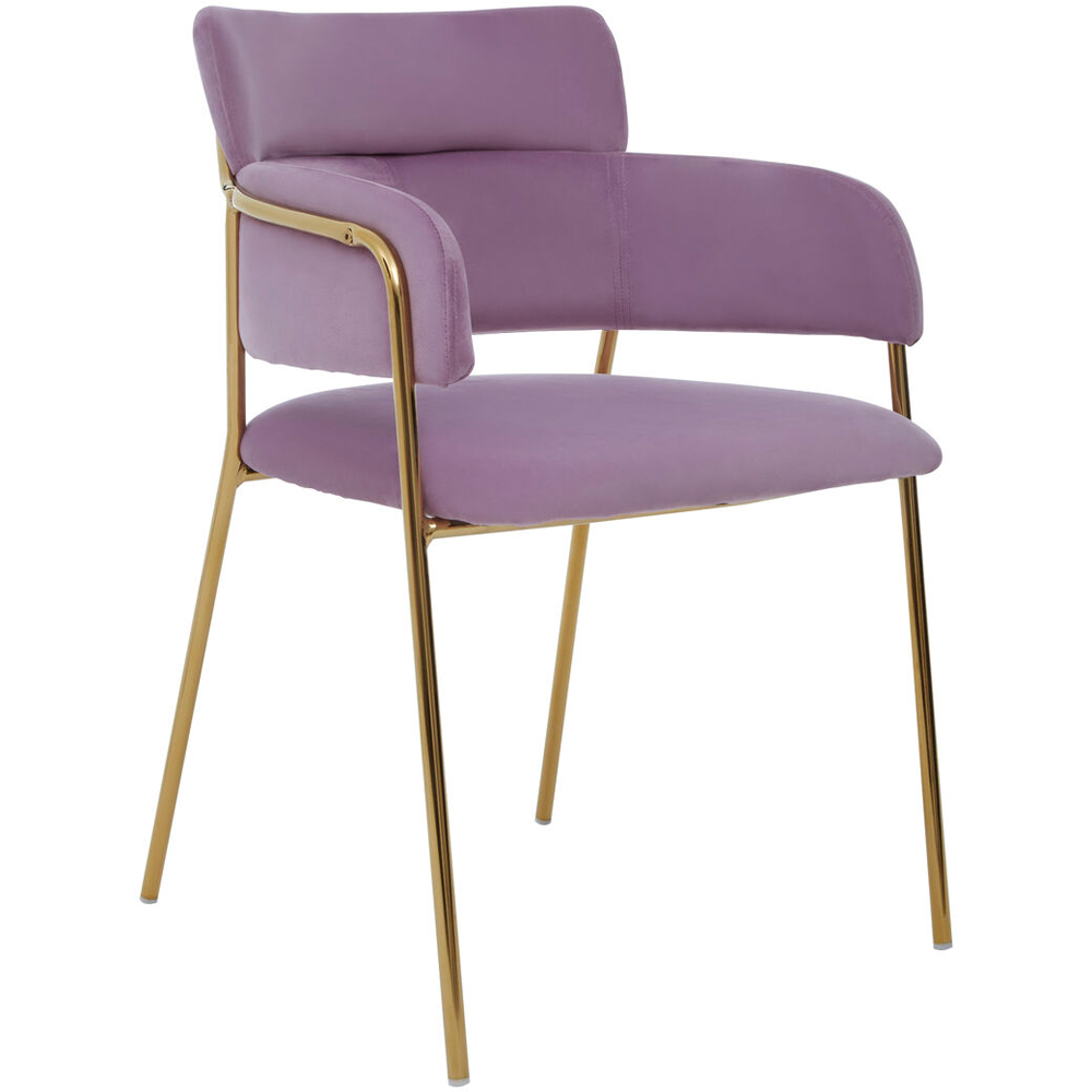 Premier Housewares Tamzin Gold and Pink Velvet Dining Chair Image 2