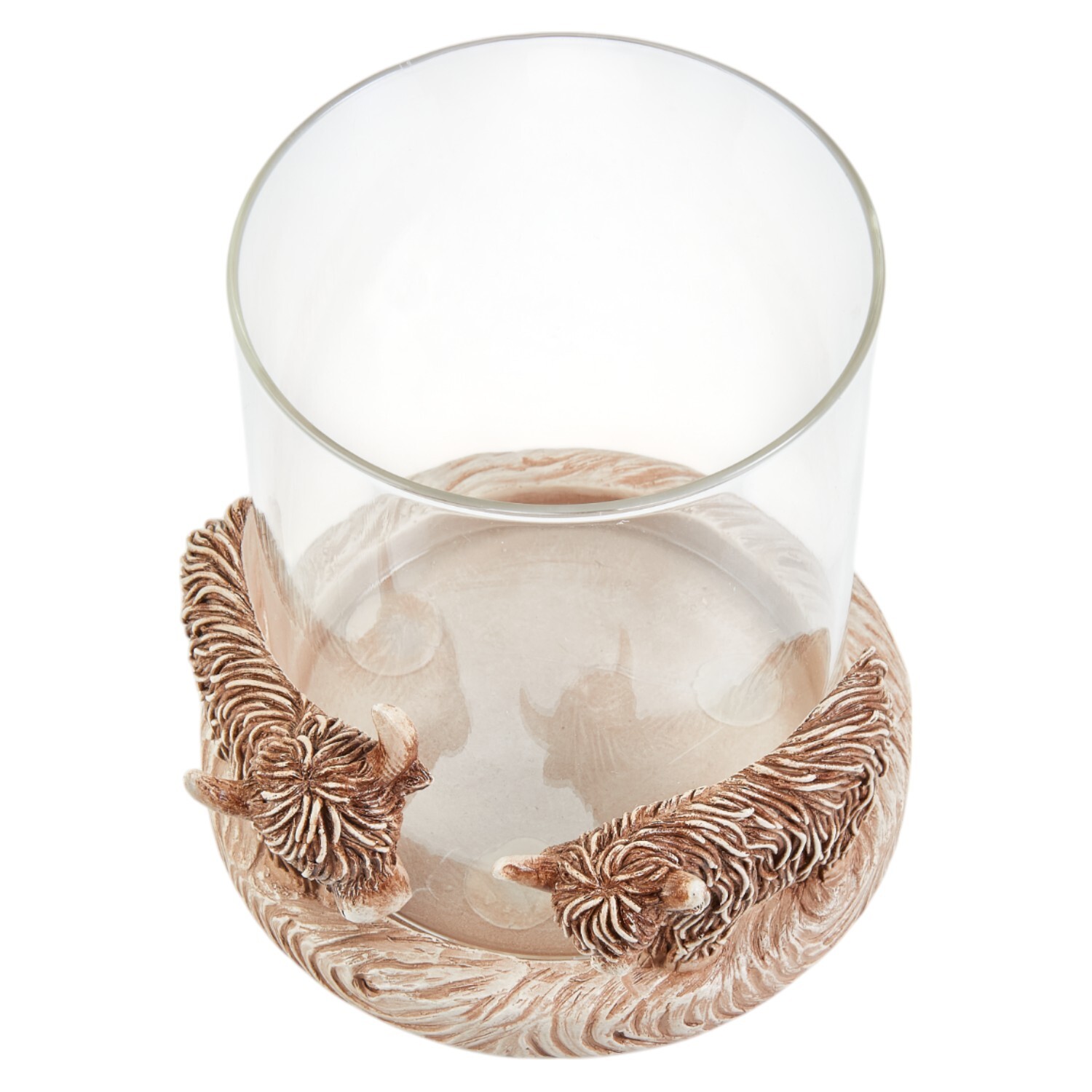 Highland Cow Hurricane Brown Image 4