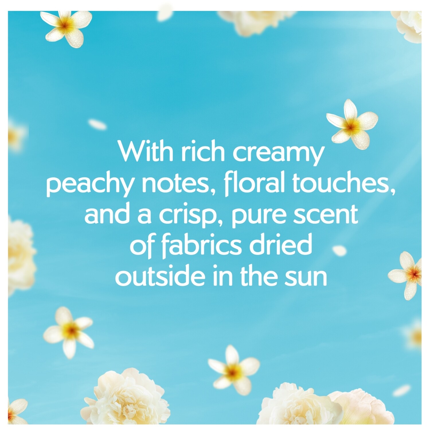 Fairy Outdoorable Ultra Concentrated Fabric Softener 45 Image 2