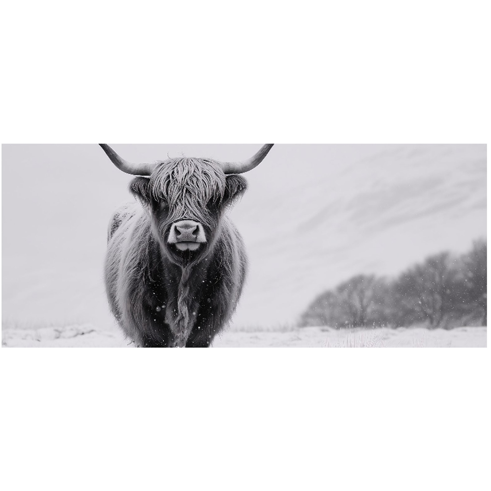 Warren Reed Designer Lone Highland Cow Bathroom Splashback 25 x 60cm Image 2