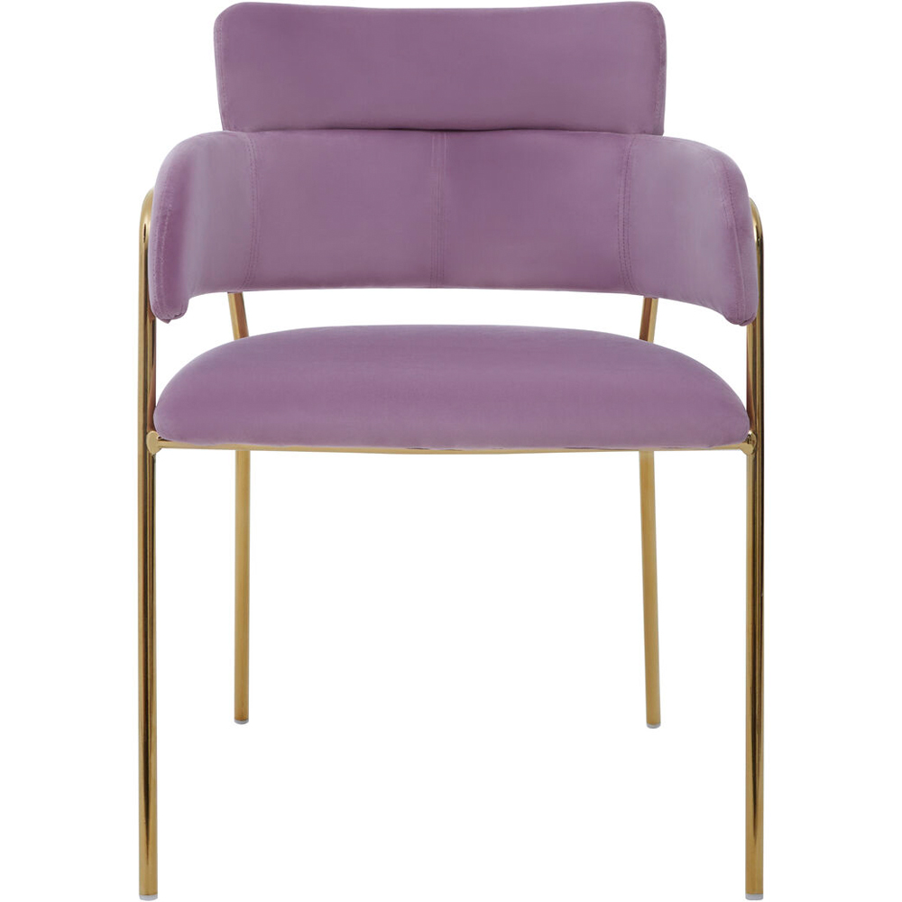 Premier Housewares Tamzin Gold and Pink Velvet Dining Chair Image 5
