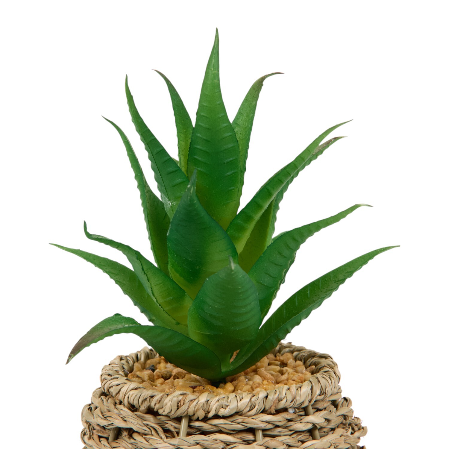 Succulent in Water Hyacinth Pot Natural Image 4