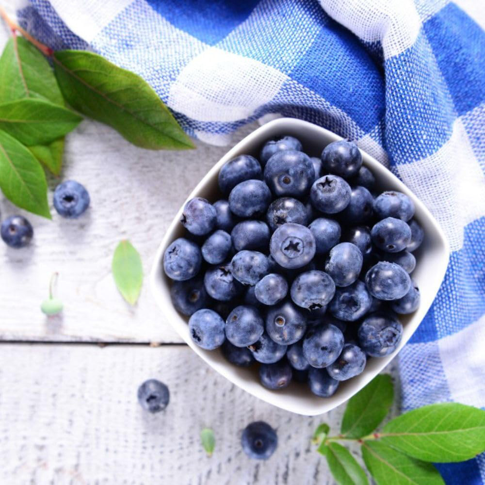 Thompson and Morgan Blueberry Vaccinium Blue gold Potted Plant 9cm 2 Pack Image 2