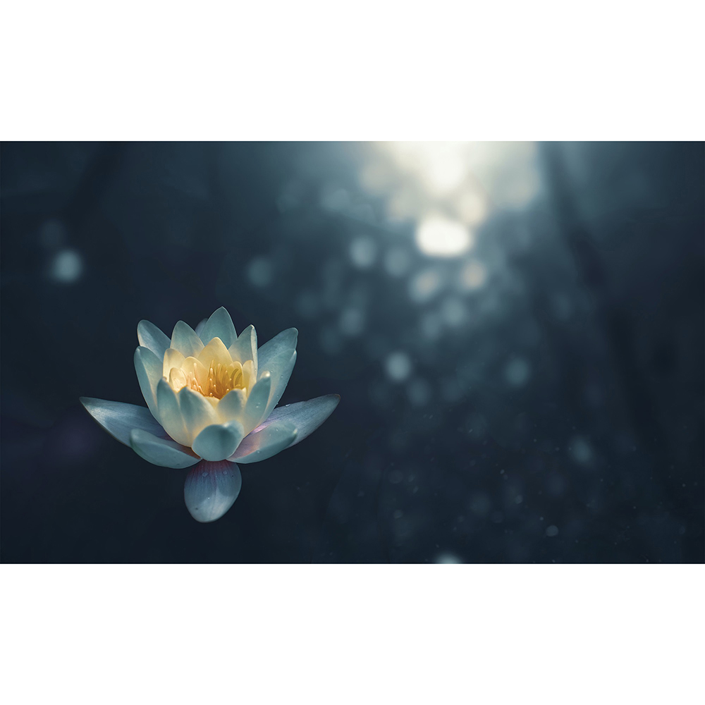 Mirrorstone Nexus Pond Lilly Picture Wi-Fi Infrared Heating Panel 580W 595 x 995mm Image 4