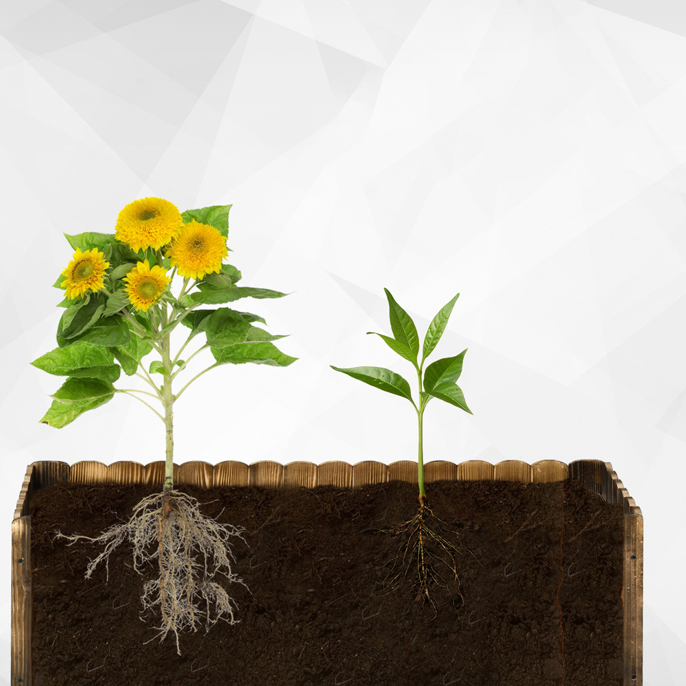 Outsunny Fir Plant Pot 120x40cm Image 5