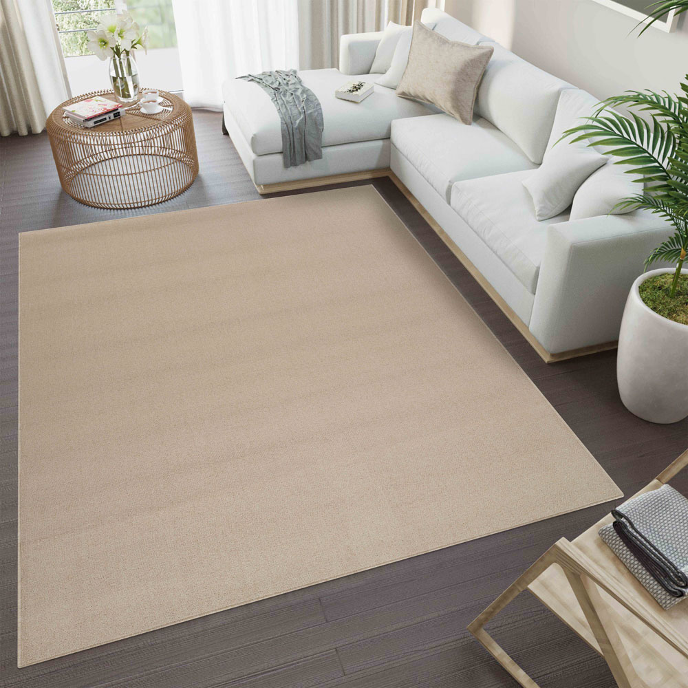 Desire Rugs Simple Light Beige Low Pile Felt Backing Tufted Rug 290 x 200cm Image 5