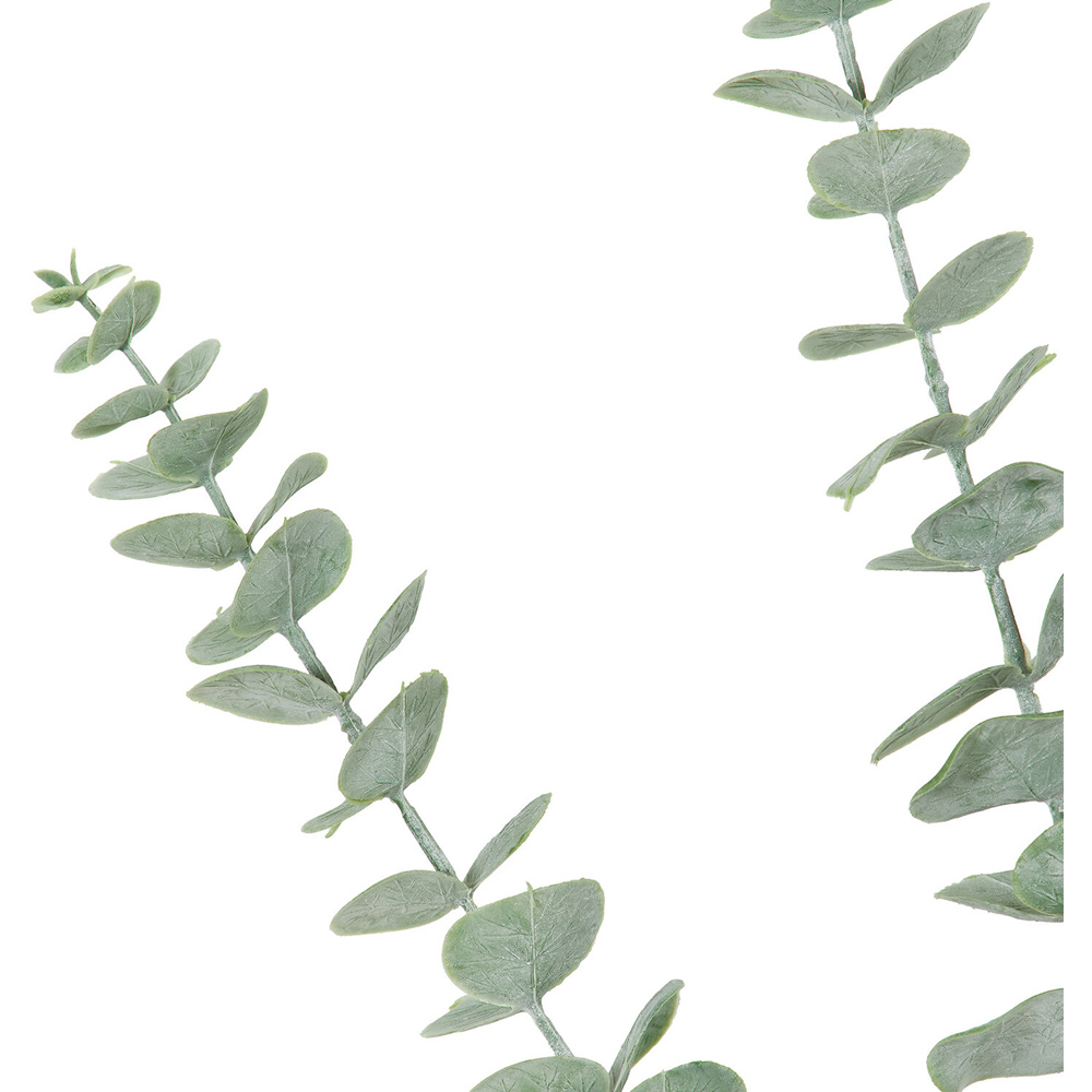 Dusted Eucalyptus - Green Image 8
