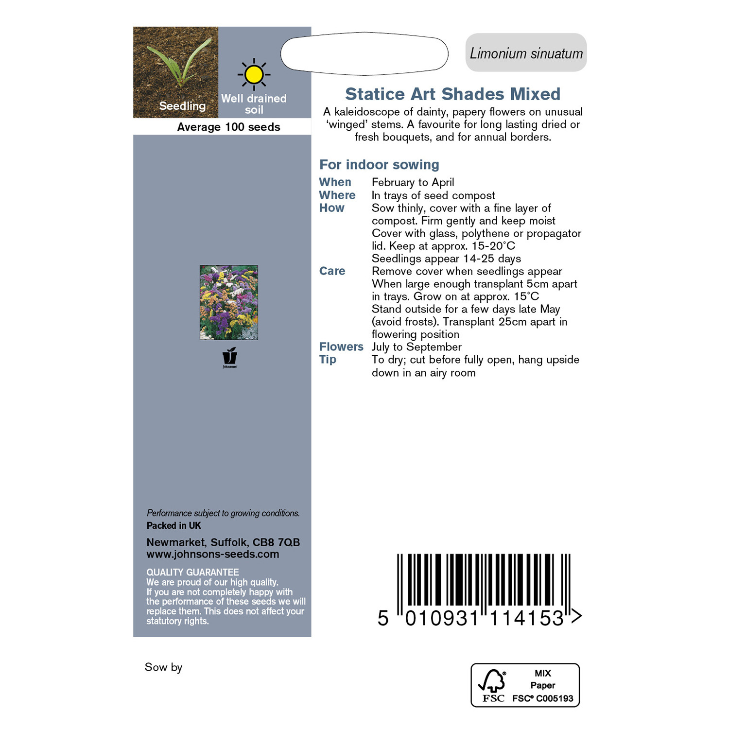 Johnsons Statice Art Shades Mixed Flower Seeds Image 3