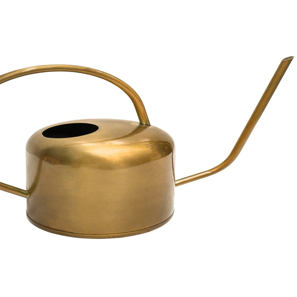 Ivyline Kew Brass Matt Watering Can 19cm Image 2