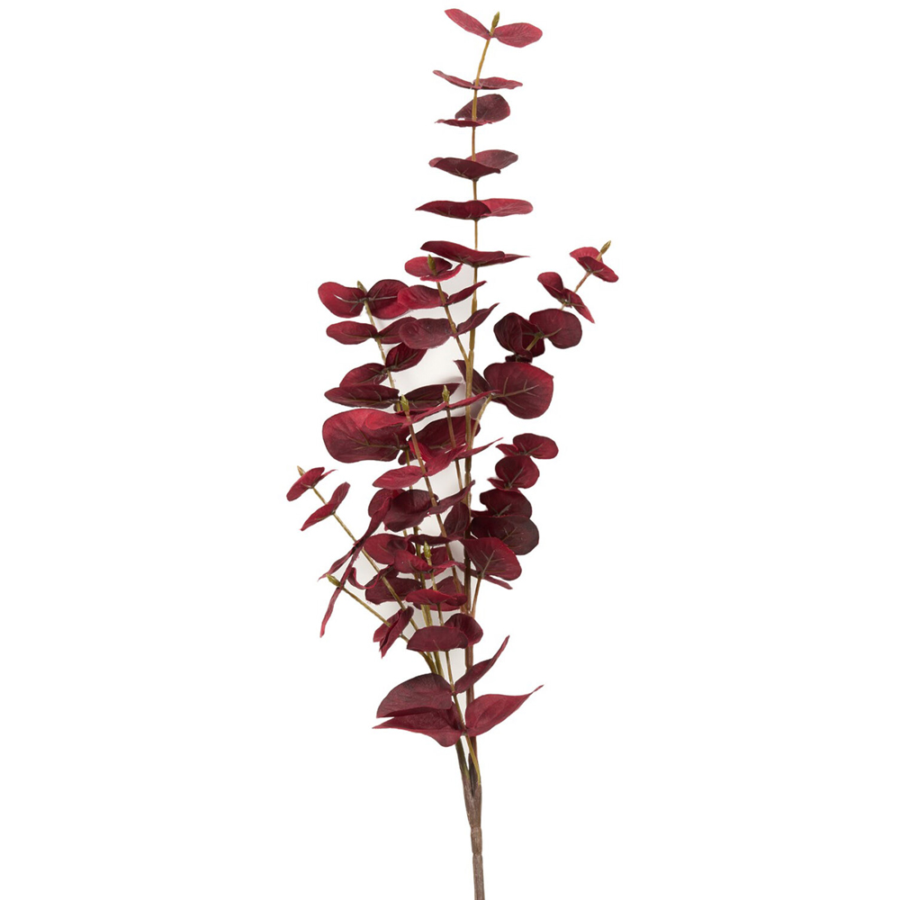 Eucalyptus Spray Deep Red Image 2