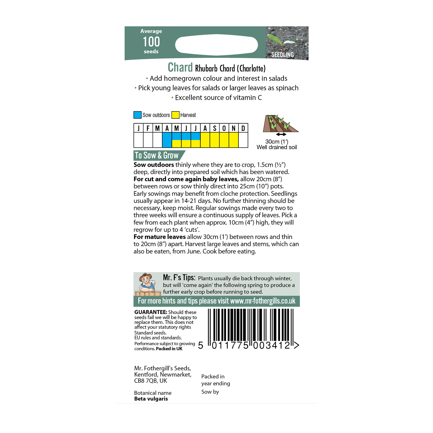 (Charlotte) Rhubarb Chard Seeds Image 2