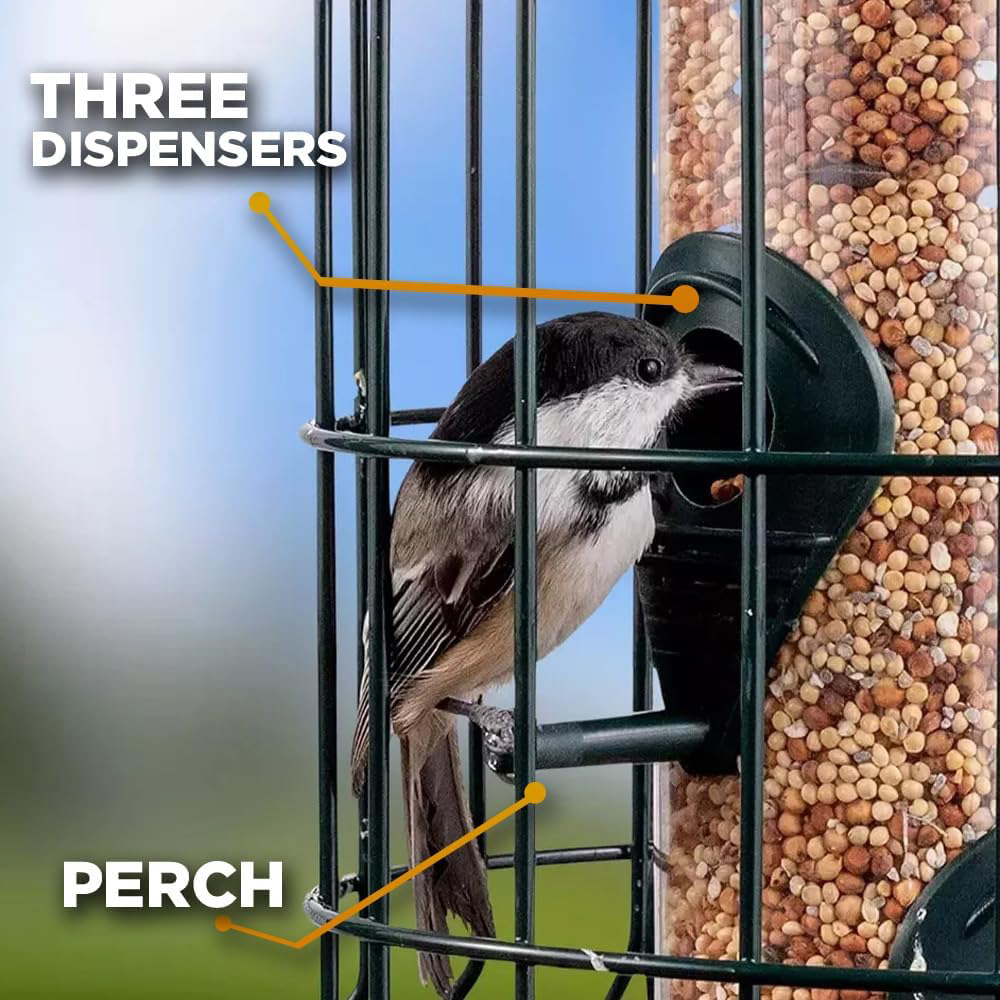 Marco Paul Squirrel Proof Seed Fat Ball and Nut Bird Feeder 3 Pack Image 5