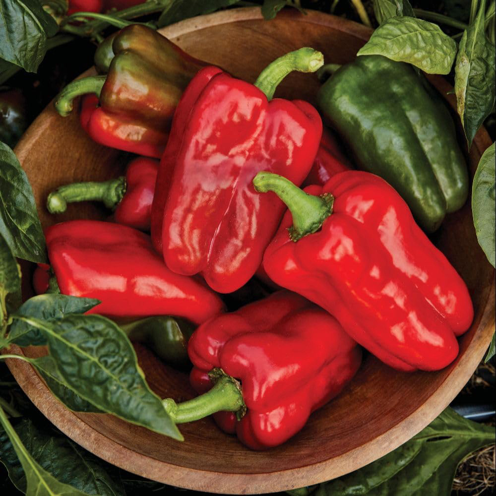 Thompson and Morgan Pepper Sweet Great Stuff F1 Seed Packet Image 3