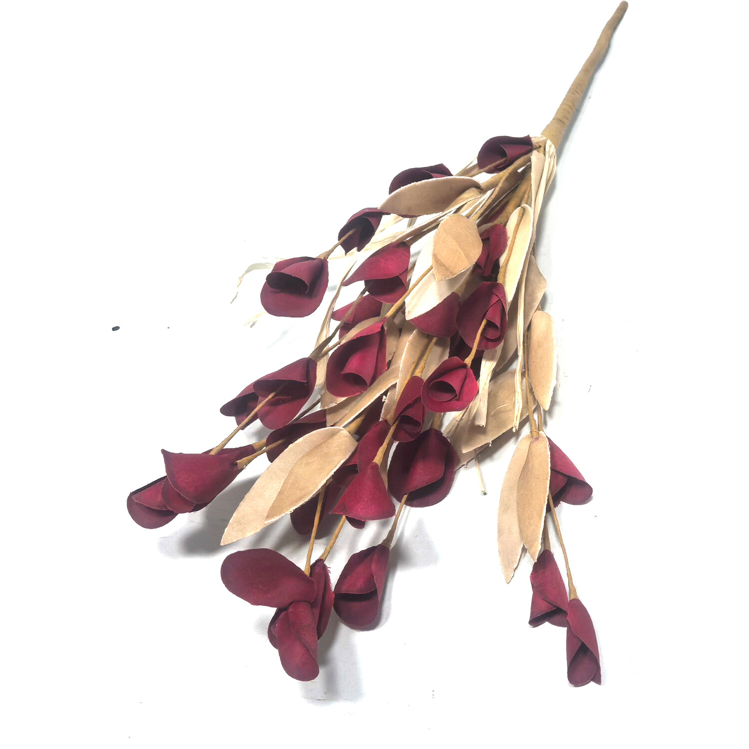 Autumn Pick Image 3