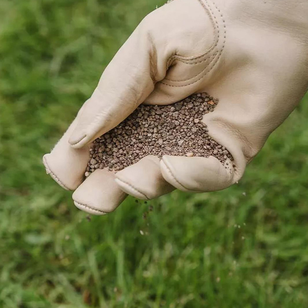 Westland Herbicide Free Triple Care Lawn Feed 350sqm Image 2