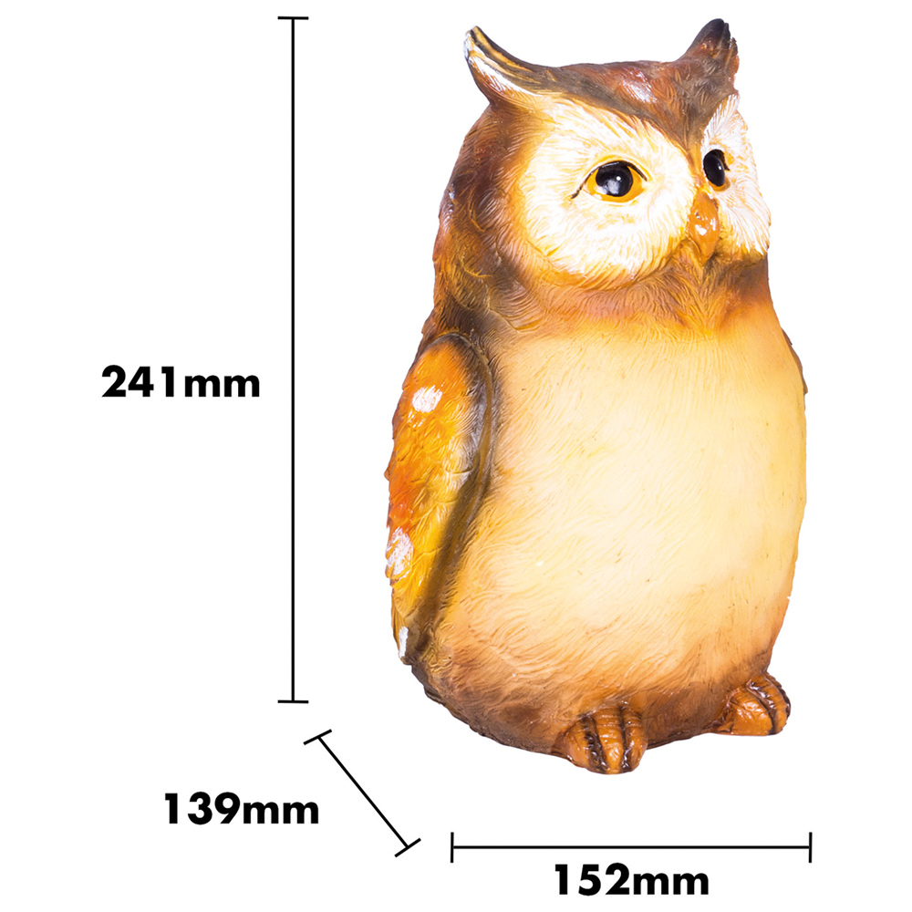 St Helens Female Light Up Owl Ornament Image 4