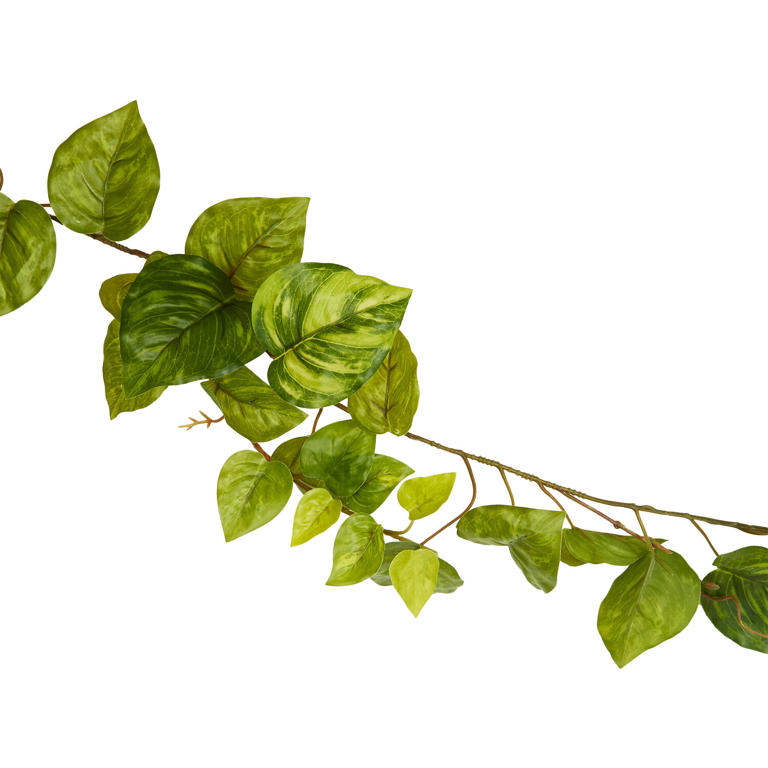 Pothos Garland - Green Image 4