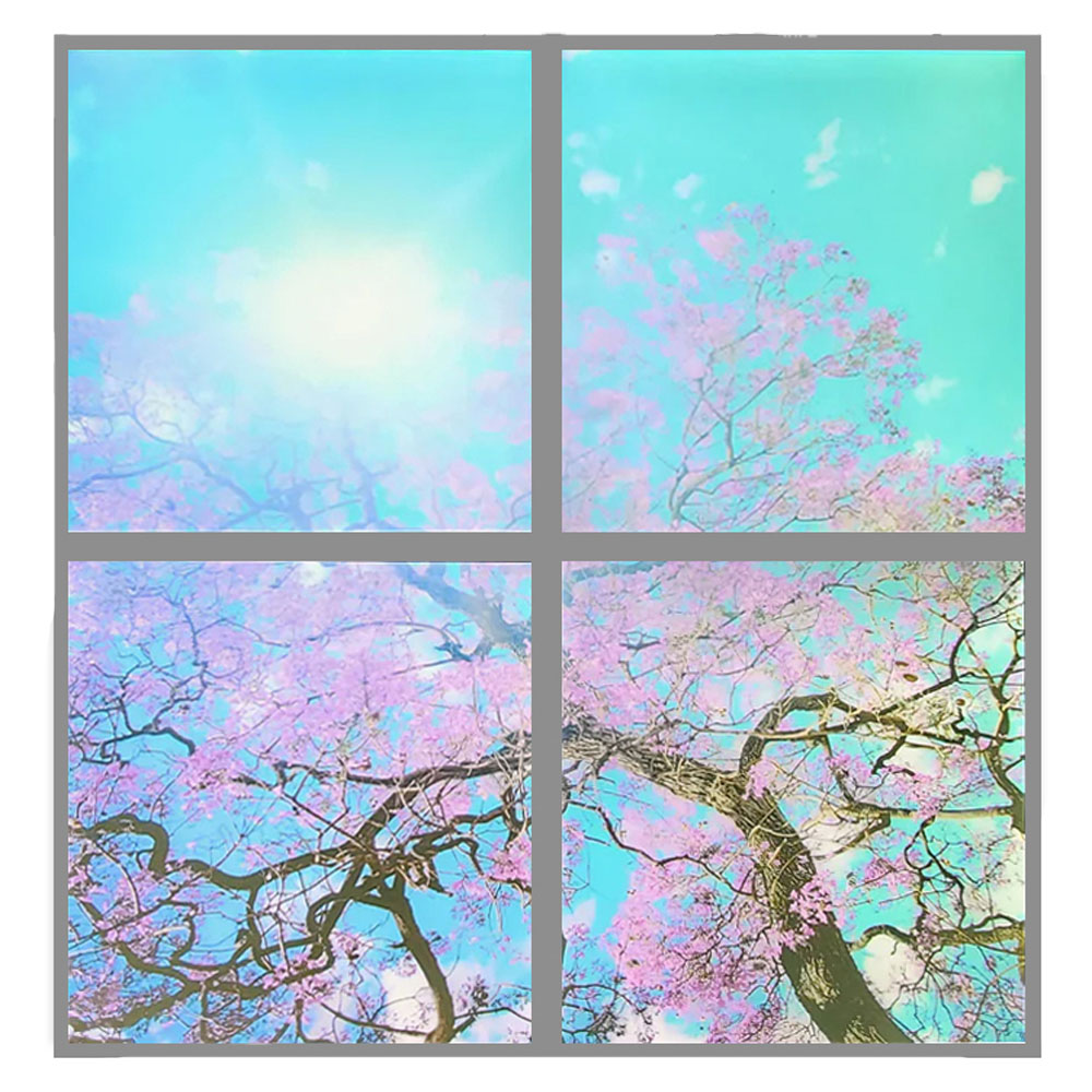 ENER-J 4 Sky Cloud with Cherry Blossom Trees LED Panel Set Image 1