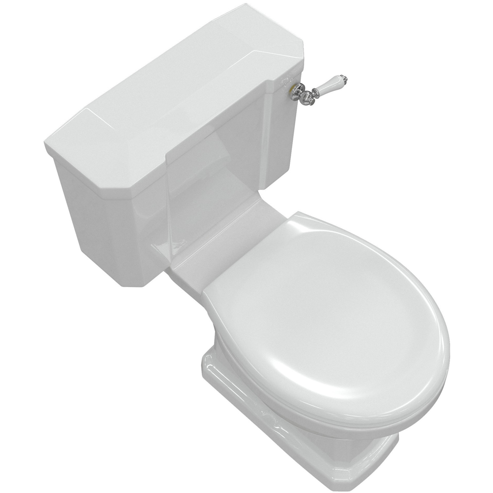 Bathstore Pelosa Close Coupled WC and Standard Soft Close Seat with Dual Flush and Brass Hinges Image 4