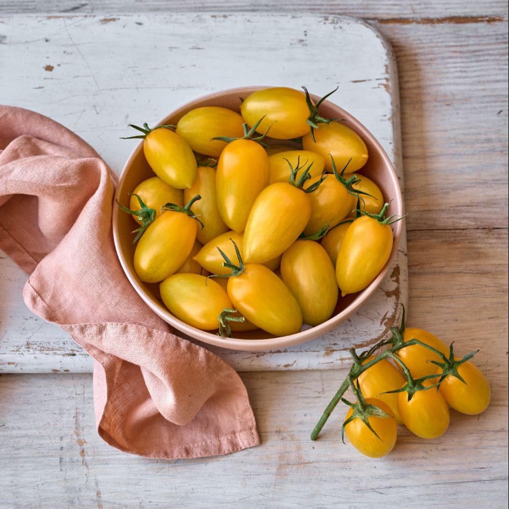 Thompson and Morgan Tomato Bliss F1 Seed Packet Image 4