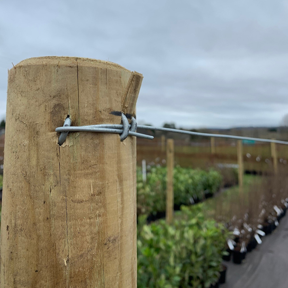 Inspirational Gifting Galvanised Mild Steel Line or Straining Wire Roll 200m x 2mm Image 2