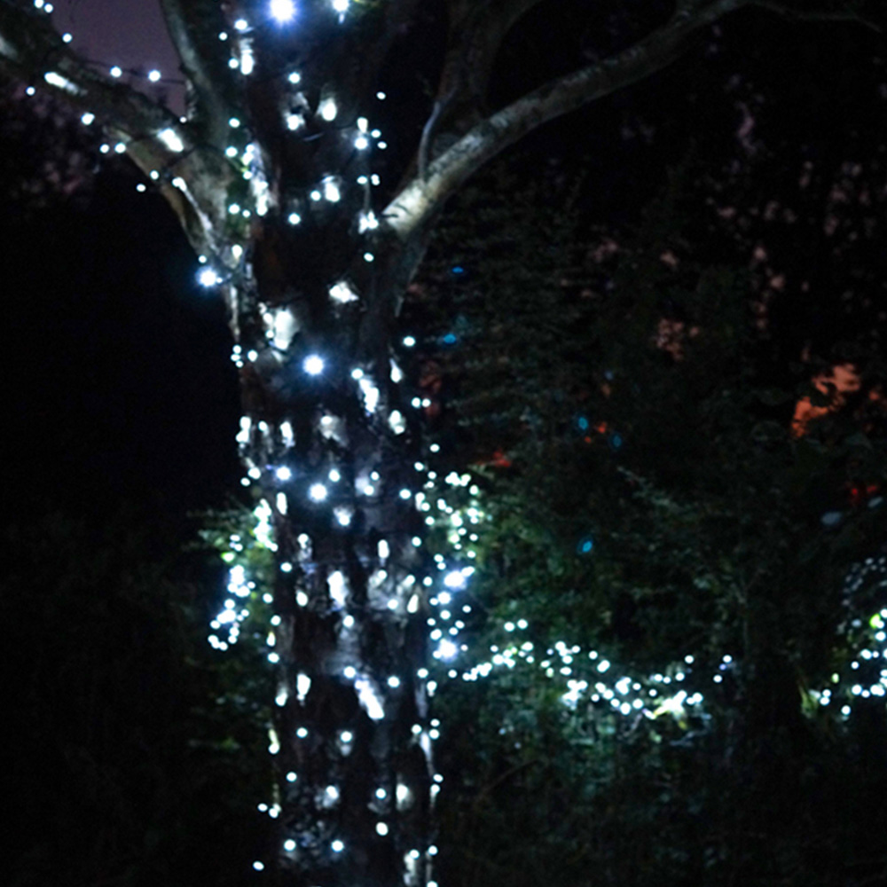 Eagle Connect 80 Cool White LED String Light 10m Image 3