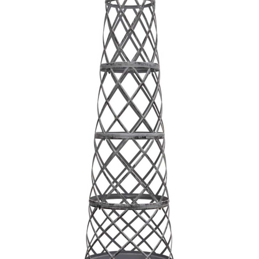 Thompson and Morgan Clematis Winter Beauty Tower Pot 7cm 2 Pack Image 3