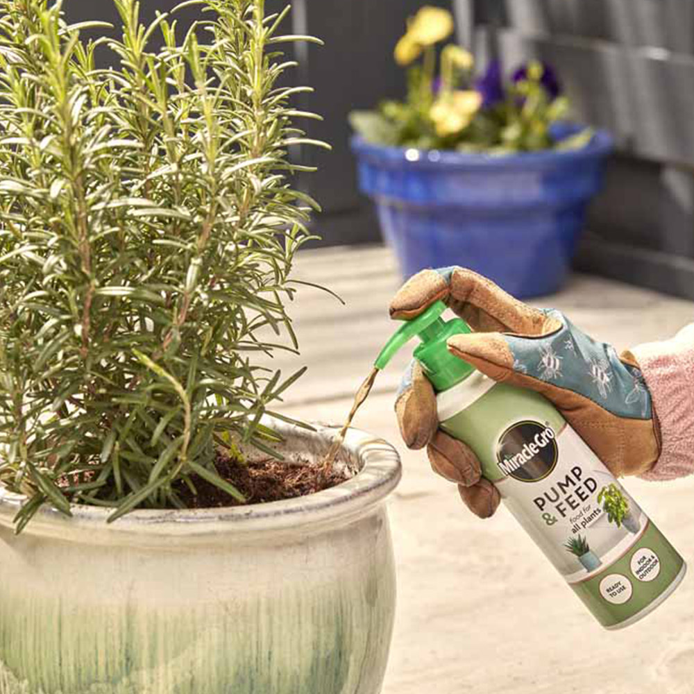 Miracle-Gro Pump and Feed All Purpose Plant Food 200g Image 4