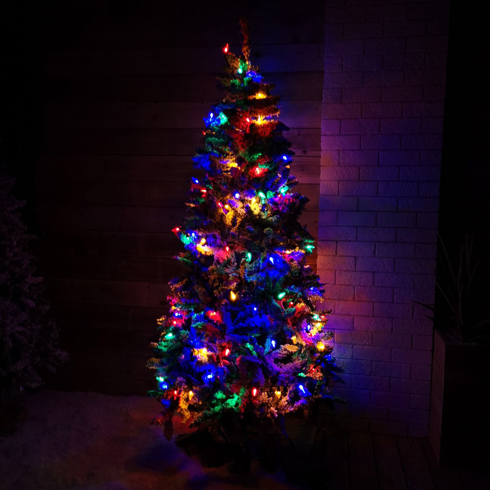 Samuel Alexander 120 Multicolour LED Bulb Multi-Function Black Festoon Light 12m Image 4