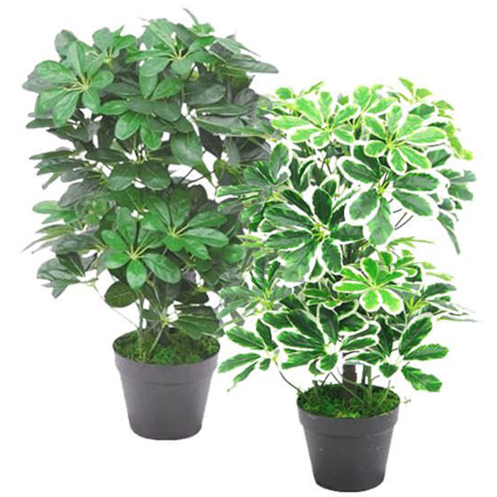 Leaf Dwarf Umbrella Tree Artificial Plant in Pot 55cm Image 3