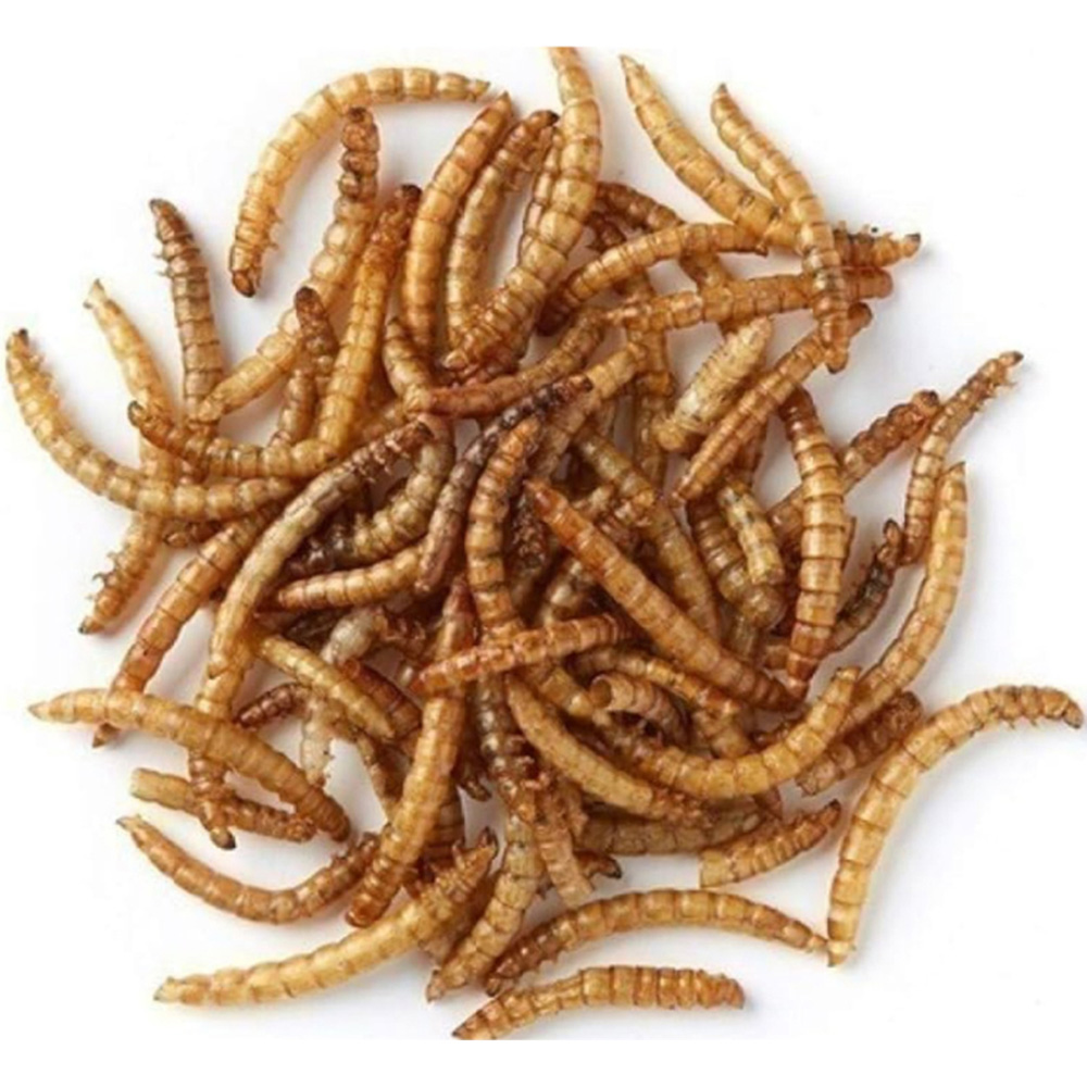 Marco Paul Dried Mealworms Wild Bird Feed Tub 100g Image 2
