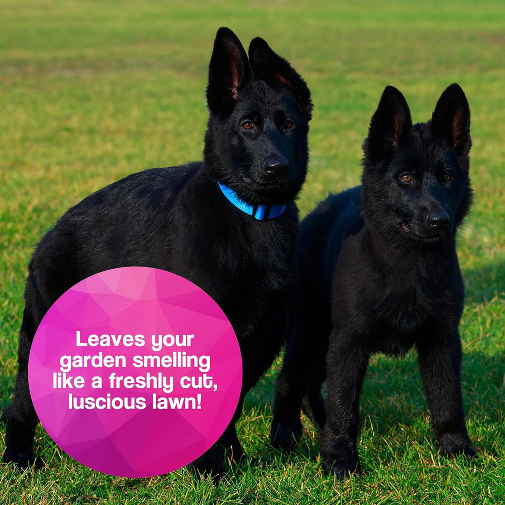 Pretty Pooch Artificial Grass Cleaner 1L Image 5