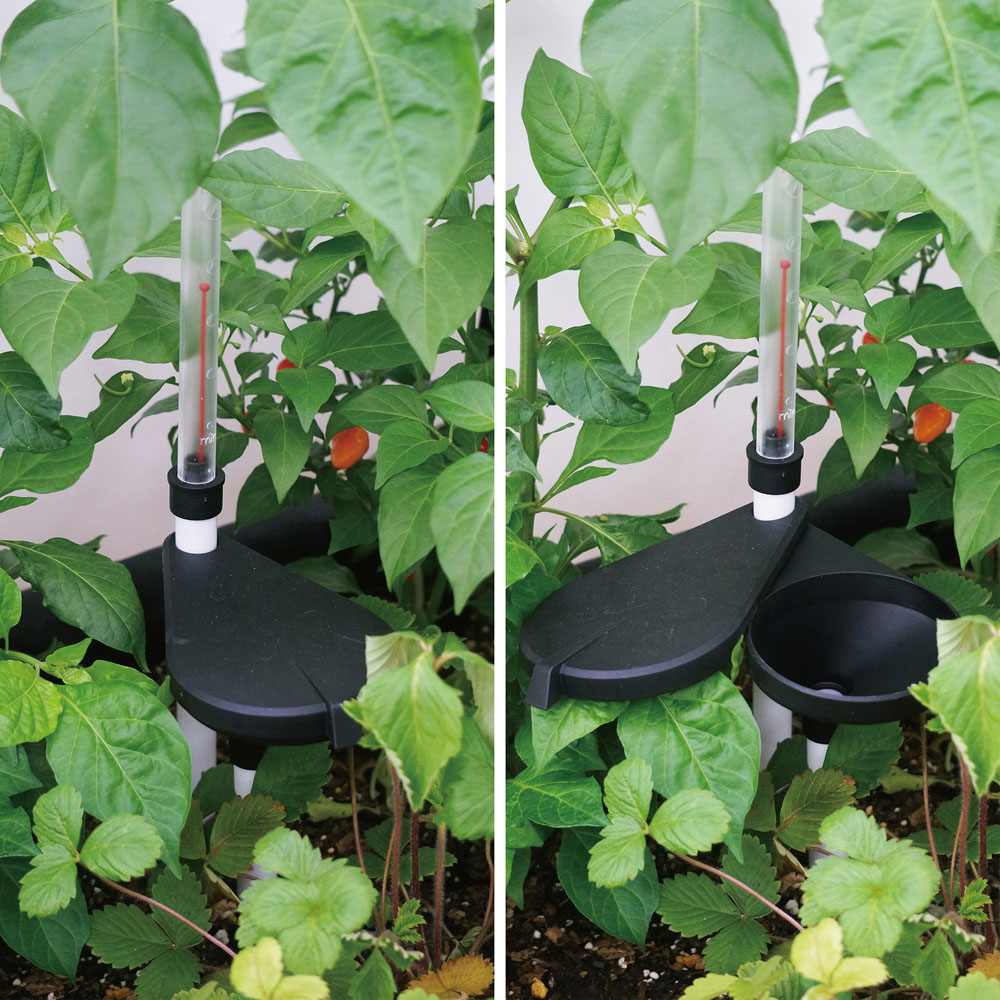 VegTrug Wall Hugger Self-Watering Kit 64 x 79 x 22cm Image 2