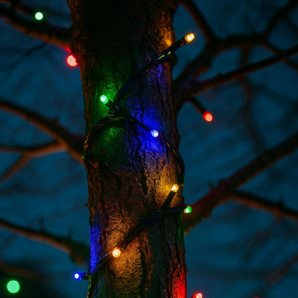 Lighting Legends Pro Link Multicolour Connectable Outdoor LED Fairy String Light 10m Image 3
