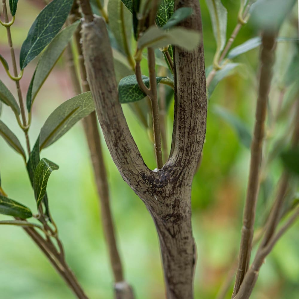 Thompson and Morgan Artificial Olive Tree Plant Pot 150cm Image 6