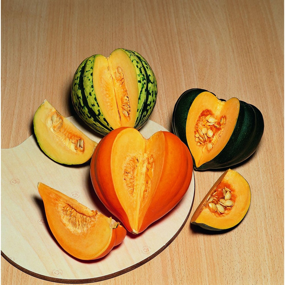 Thompson and Morgan Squash Celebration F1 Seed Packet Image 2