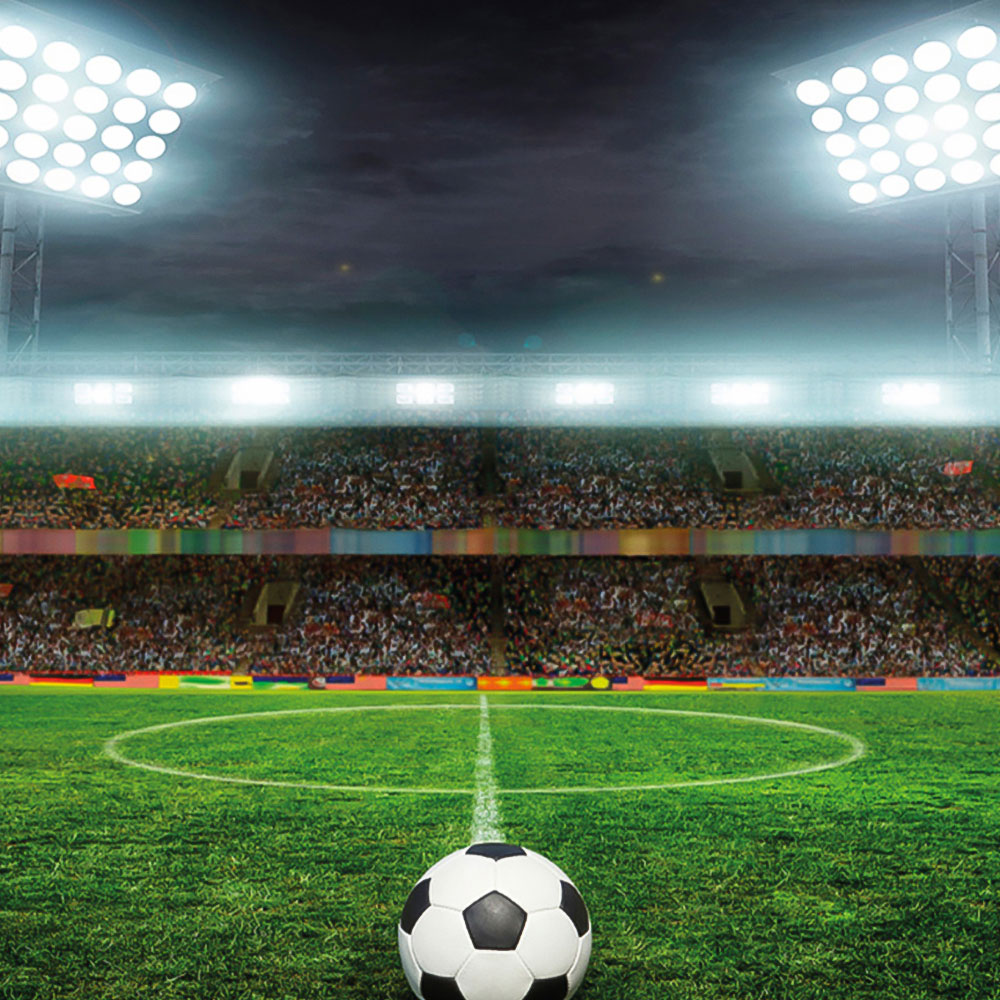 Origin Murals Football Stadium Green Wall Mural Image 2