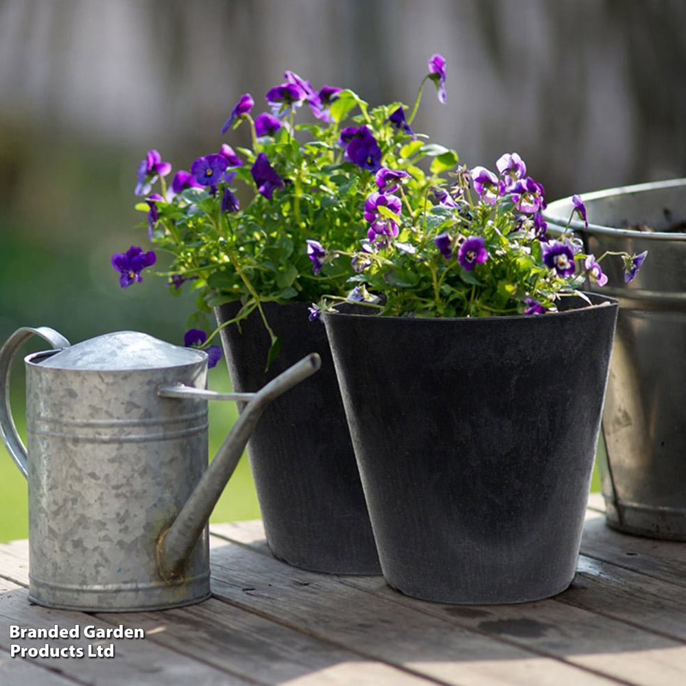 Garden Gear Octavia Slate Planter 28cm 2 Pack Image 2