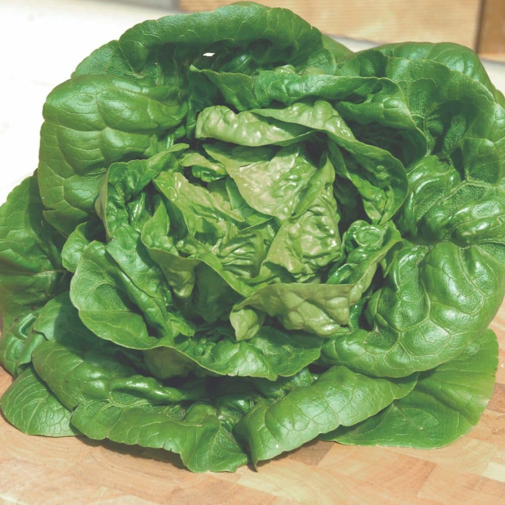 Thompson and Morgan Lettuce Little Gem Seed Packet Image 3