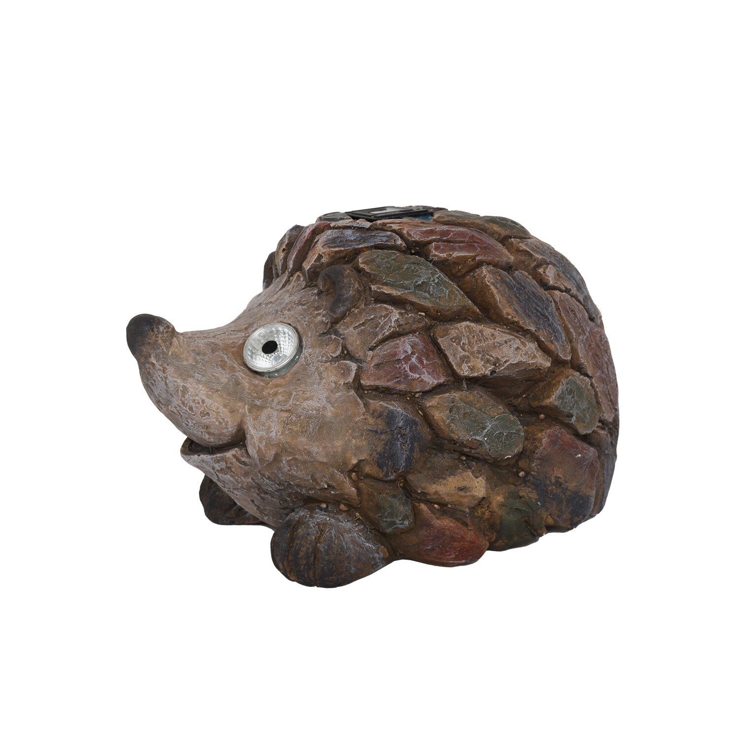 Harry the Solar Hedgehog Image 5