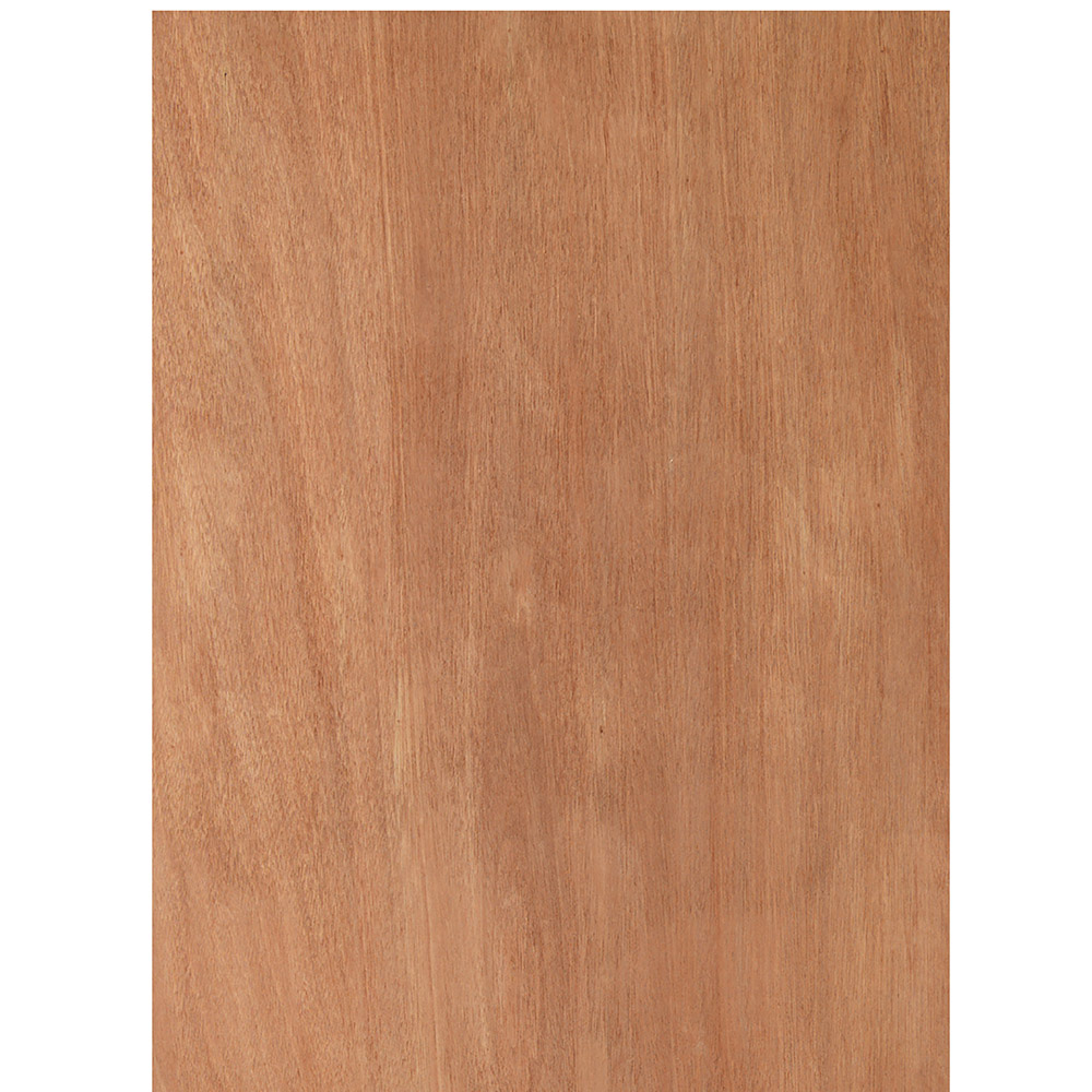 JB Kind Paint Grade Flush Trade Value Veneered Internal Door 1981 x 686mm Image 2