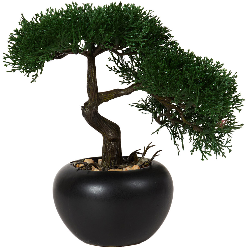 Bonsai Tree - Black Image 2