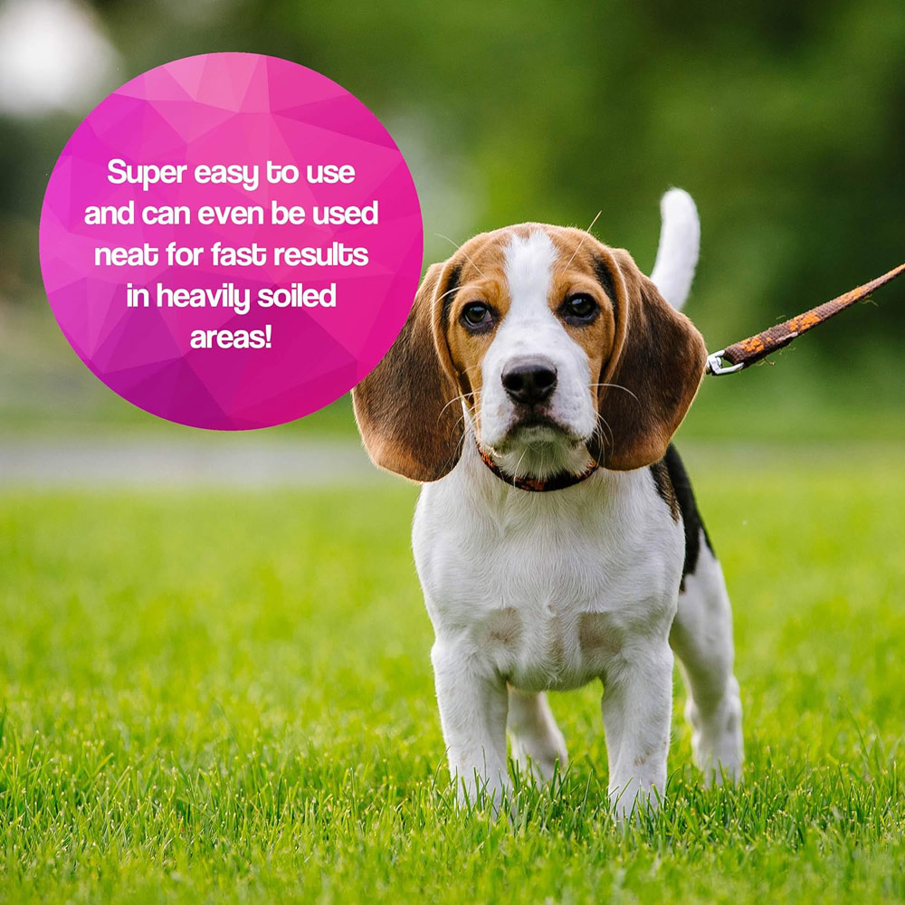 Pretty Pooch Artificial Grass Cleaner 1L Image 3