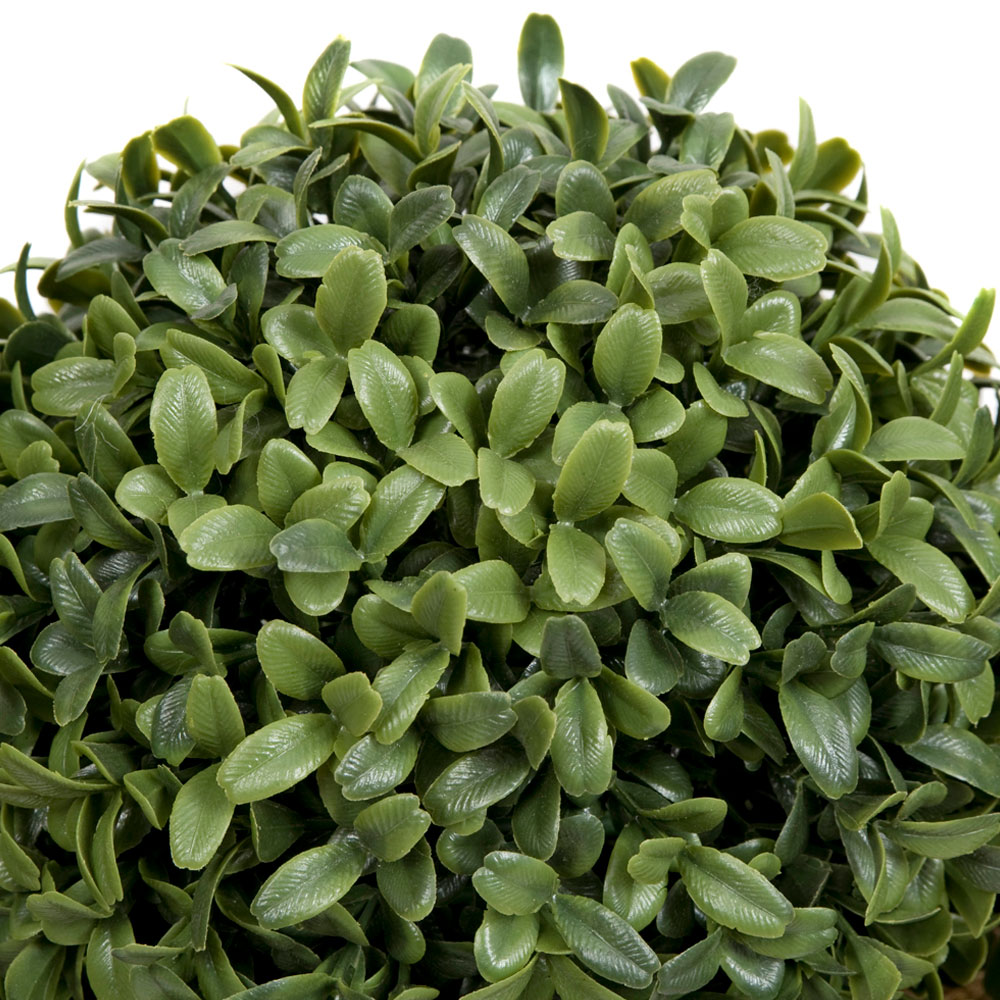 GreenBrokers Artificial Boxwood Double Bay Ball in Black Straight Window Box 35cm Image 3