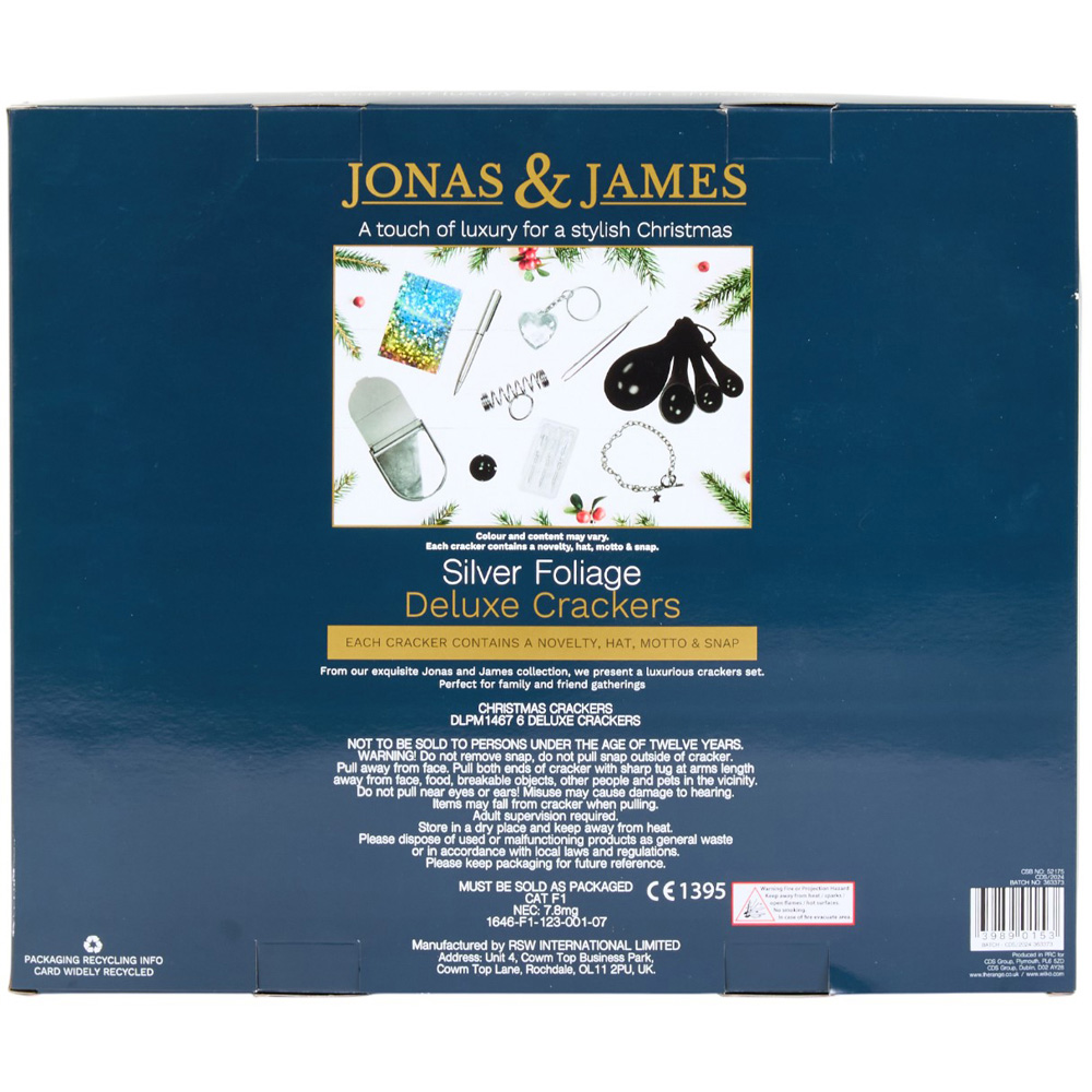 Pack of 6 Deluxe Crackers Silver Foliage - Silver Image 4