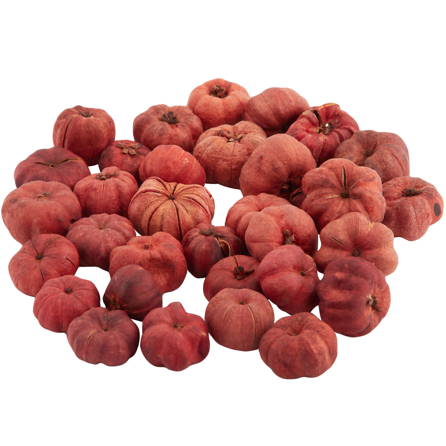 Mini Pumpkins Potpourri Orange Image 3