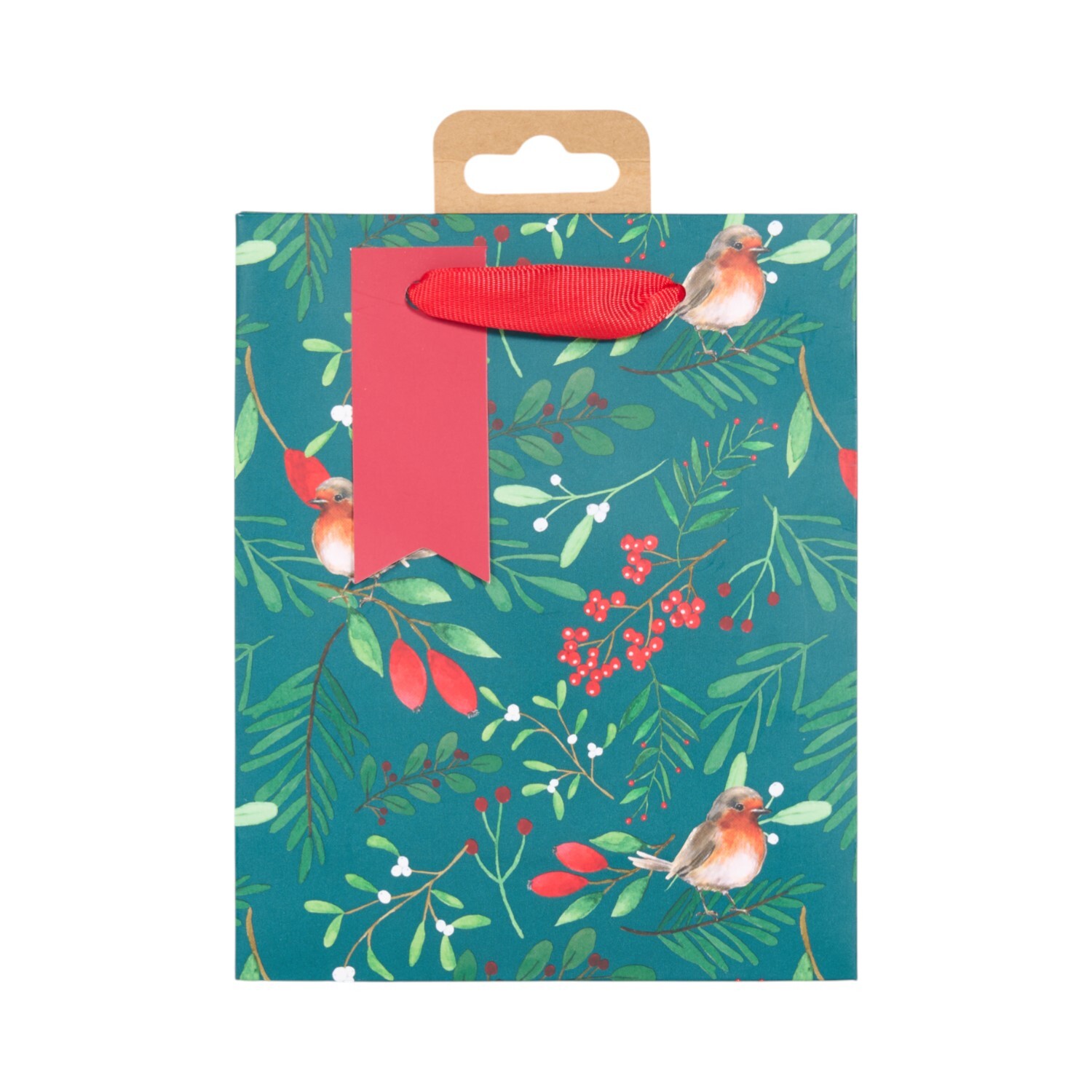 Robin Gift Bag Small Image 6