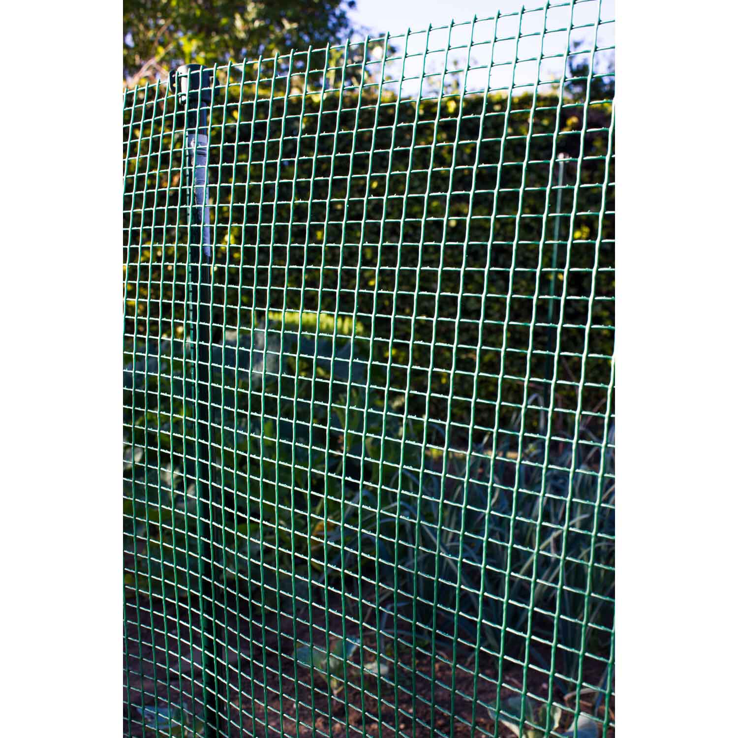 Apollo Gardening Mesh 50 x 50mm Steel Panel Image 3