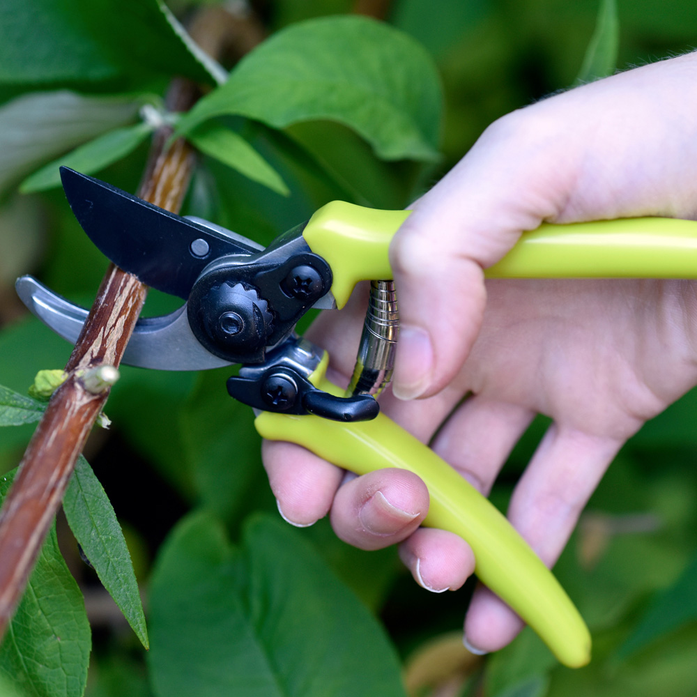RHS Green Carbon Steel Micro Garden Secateur Image 2