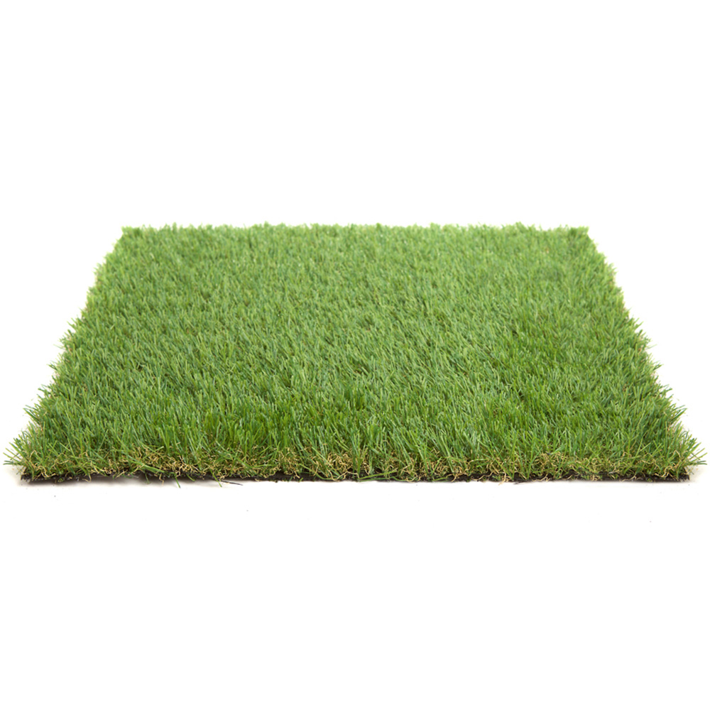 30mm Grass 1mx5m (3.3ft x 16.4ft) - 5m² Image 1